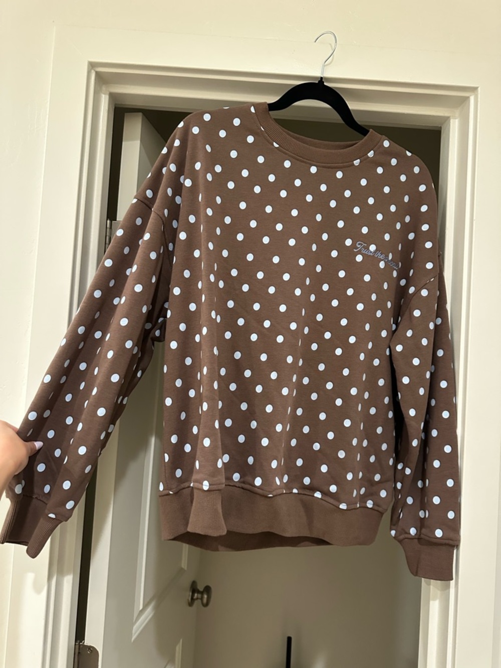 Brown Crewneck with Light Blue Polka Dots